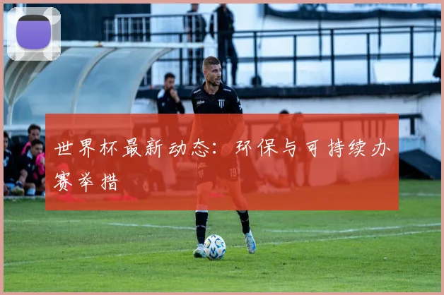 世界杯最新动态：环保与可持续办赛举措